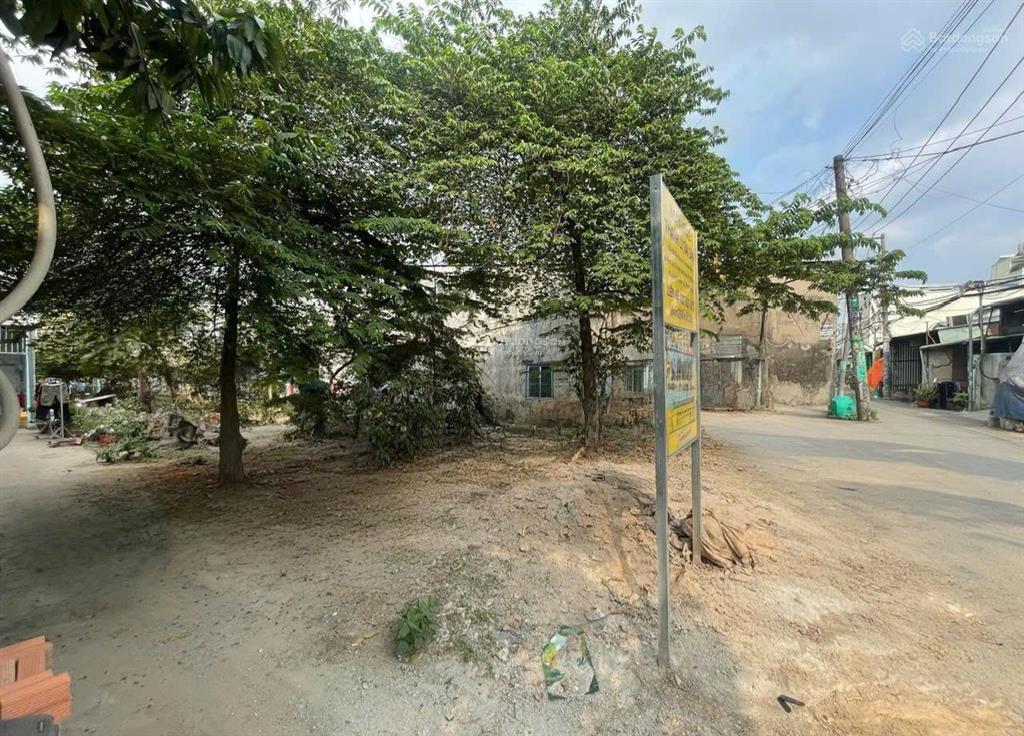 Đất 136,1m2 tại bình chánh diện tích đẹp đường hiện hữu khu dân cư