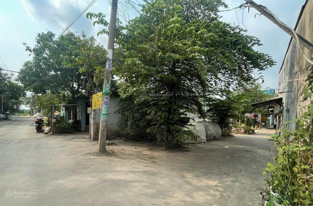 Đất 136,1m2 tại bình chánh diện tích đẹp đường hiện hữu khu dân cư