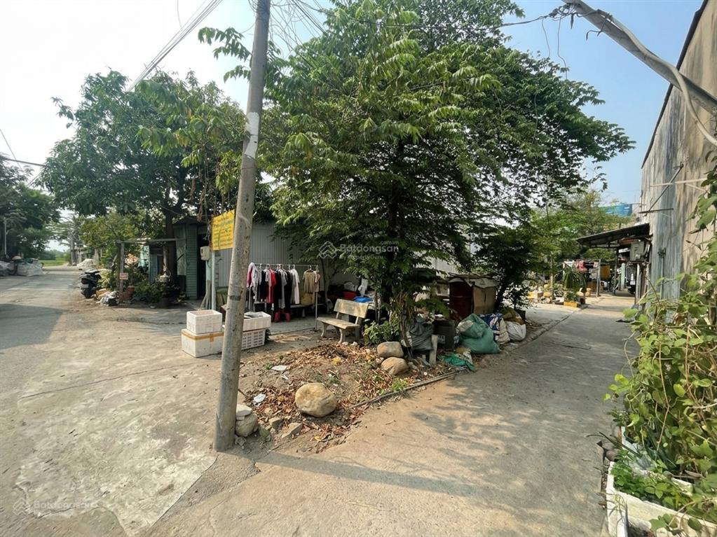Đất 136,1m2 tại bình chánh diện tích đẹp đường hiện hữu khu dân cư