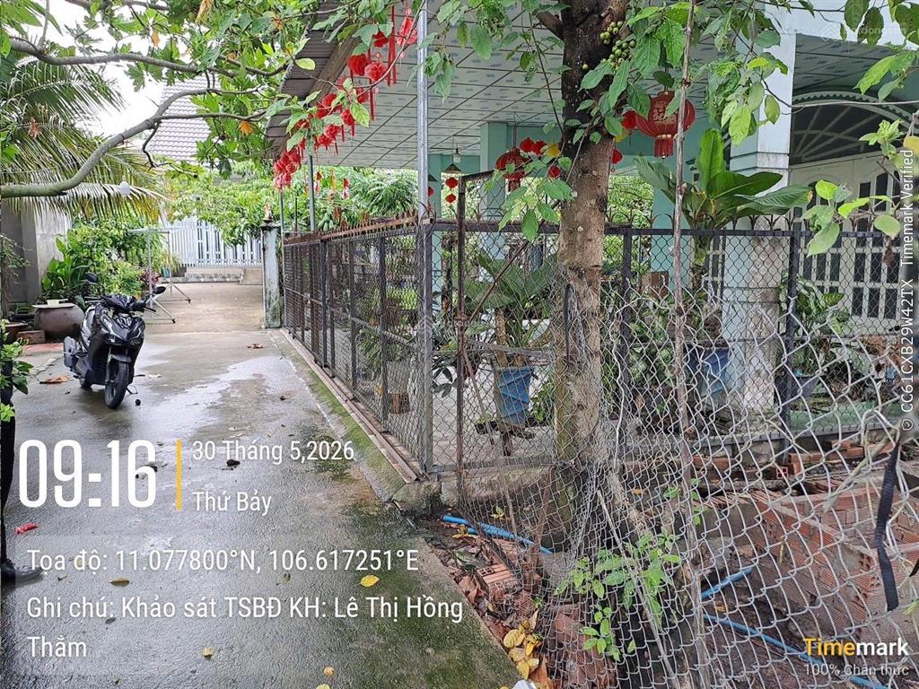 Bán gấp đất nền 297.1m2 tại tân định, bến cát, bình dương, giá ưu đãi 681 triệu