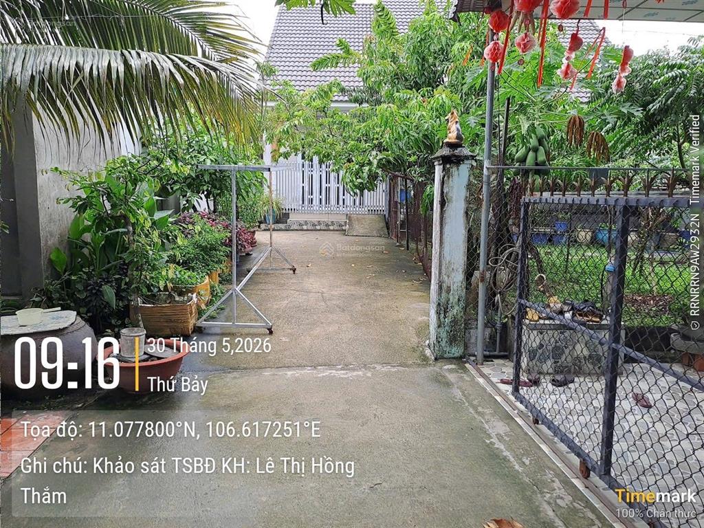 Bán gấp đất nền 297.1m2 tại tân định, bến cát, bình dương, giá ưu đãi 681 triệu