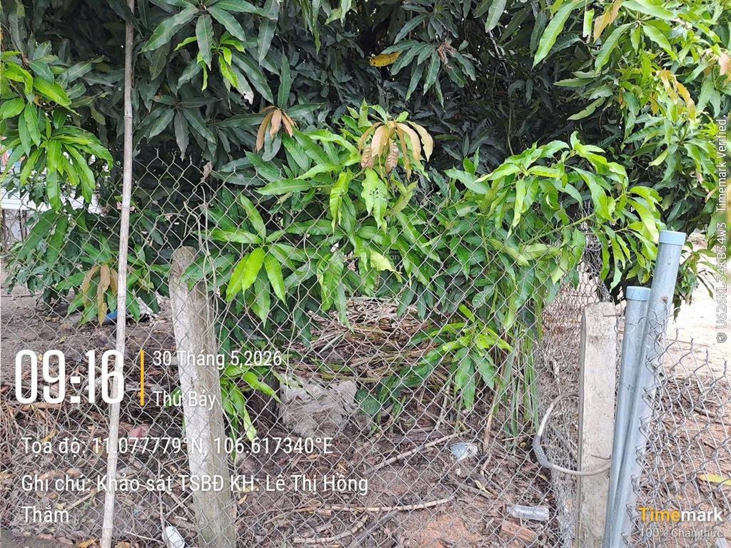 Bán gấp đất nền 297.1m2 tại tân định, bến cát, bình dương, giá ưu đãi 681 triệu