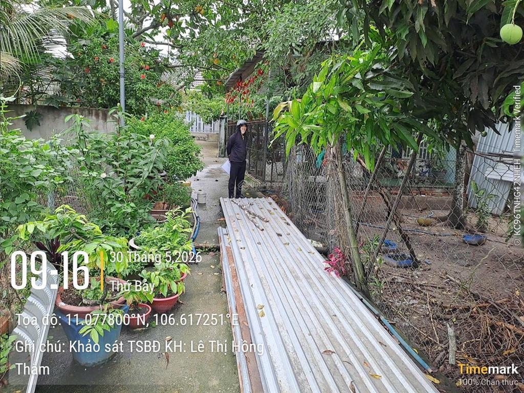 Bán gấp đất nền 297.1m2 tại tân định, bến cát, bình dương, giá ưu đãi 681 triệu