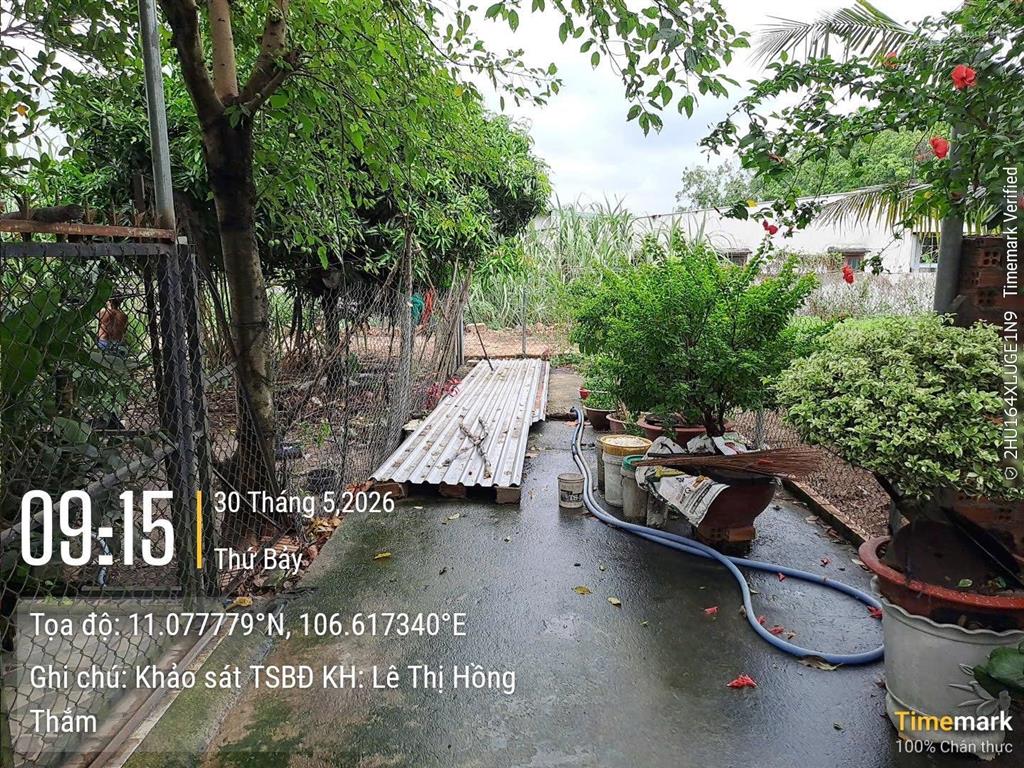 Bán gấp đất nền 297.1m2 tại tân định, bến cát, bình dương, giá ưu đãi 681 triệu