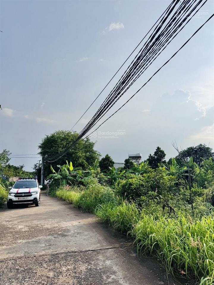 Chính chủ bán lô đất vườn ô tô vào tận đất phường dầu giây
