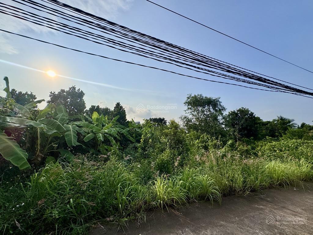 Chính chủ bán lô đất vườn ô tô vào tận đất phường dầu giây