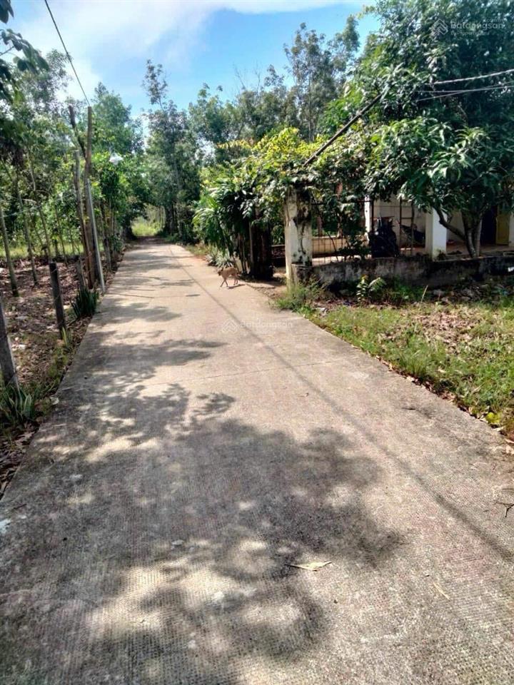 Đất nền 148m2 cách đt 744 200m xe hơi vô tới đất, thanh an, huyện dầu tiếng, 625 triệu