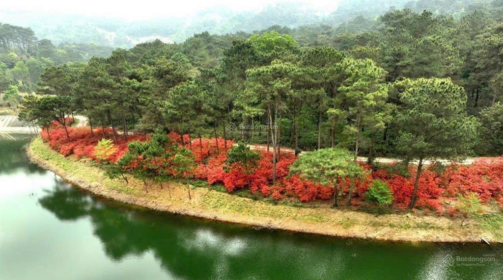 Bán cắt lỗ căn biệt thự song lập 211m2, xây 3 tầng phân khu valley park, giá tốt nhất thị trường !