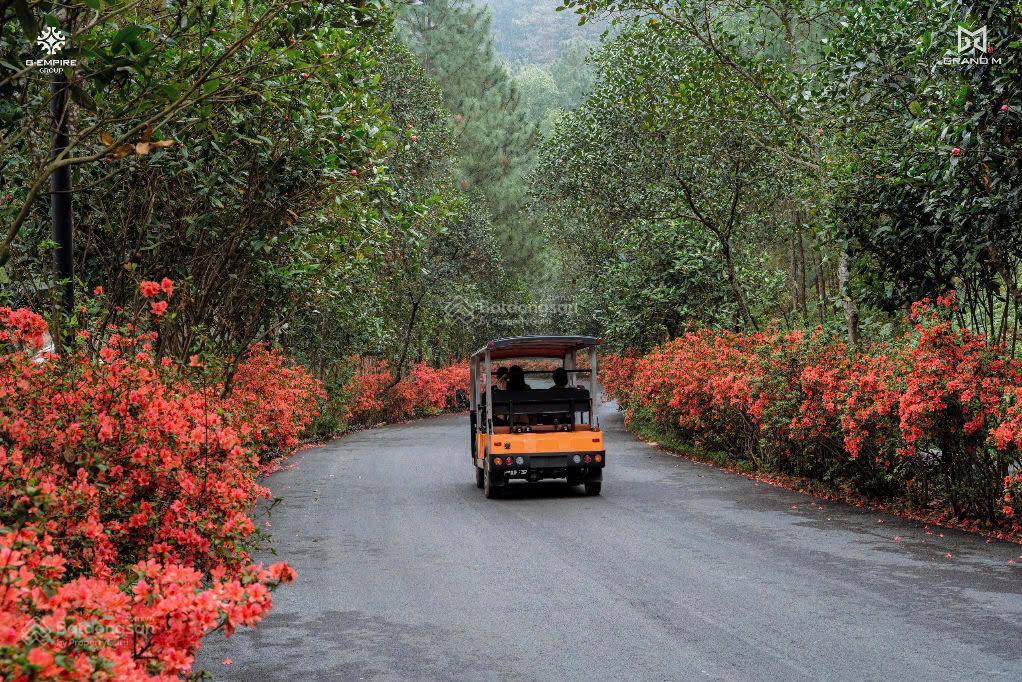 Bán cắt lỗ căn biệt thự song lập 211m2, xây 3 tầng phân khu valley park, giá tốt nhất thị trường !