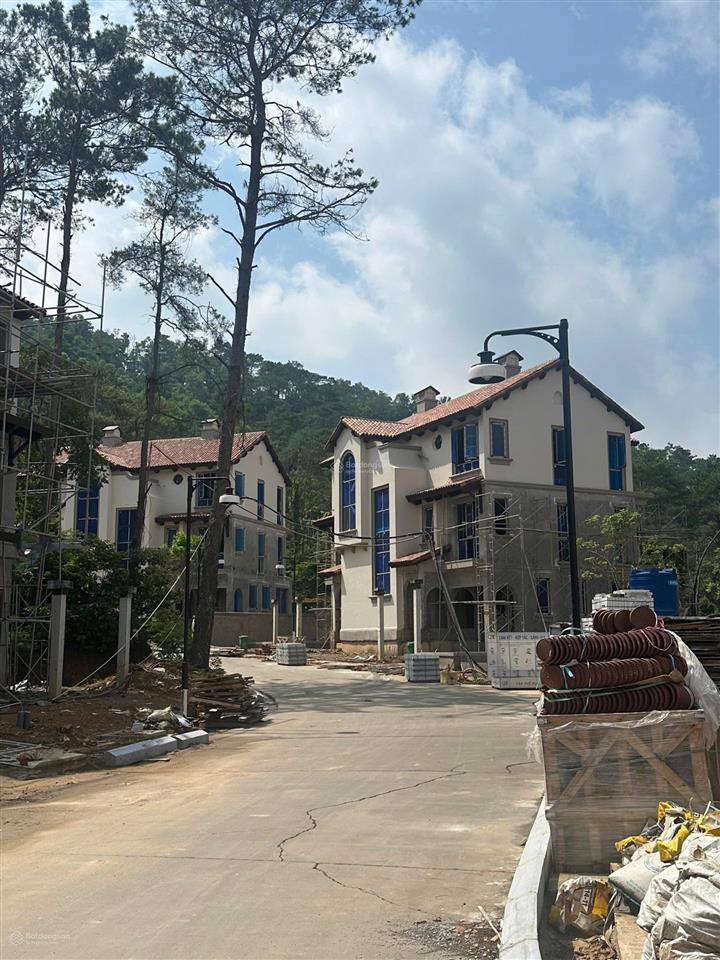 Bán cắt lỗ căn biệt thự song lập 211m2, xây 3 tầng phân khu valley park, giá tốt nhất thị trường !