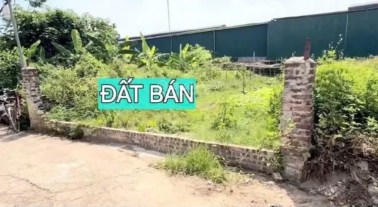 Chính chủ cần bán nhanh đất tại xóm 6 thôn phương quế thường tín hà nội với diện tích 100m2