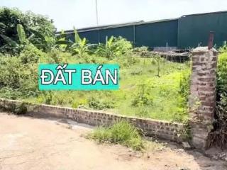 Chính chủ cần bán nhanh đất tại xóm 6 thôn phương quế thường tín hà nội với diện tích 100m2