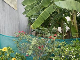 Bán đất phân lô hxh 8m phú hữu chỉ 3.6 tỷ