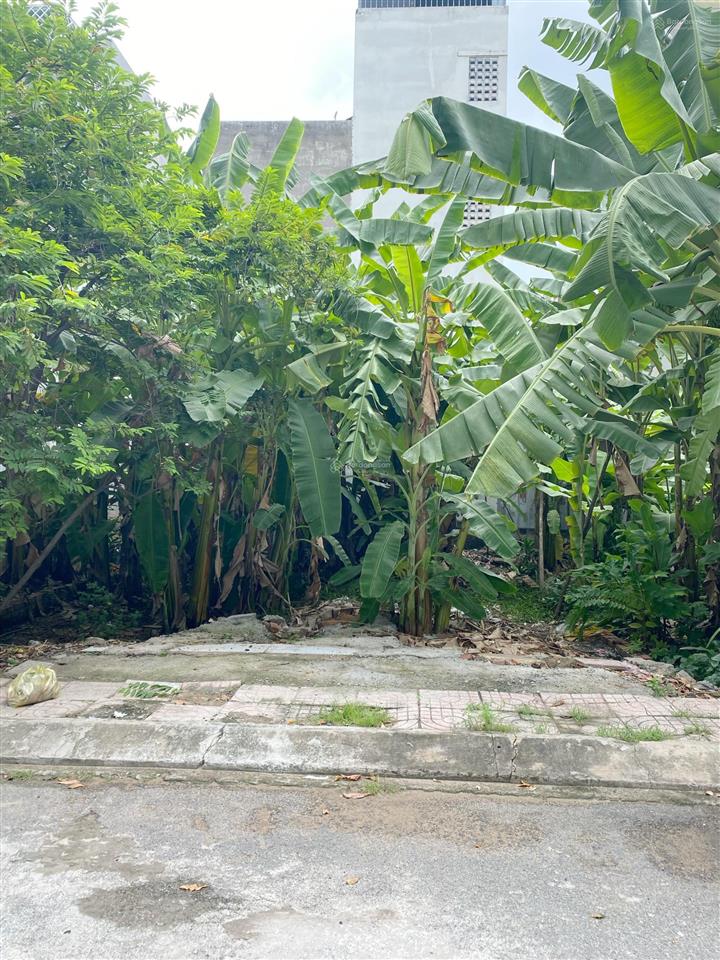 Bán đất long trường, thủ đức 68m2, kế bên khu đông tăng long giá chỉ 3,6 tỷ