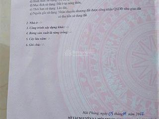 Chính chủ chào bán lô đất mặt đường 359 kinh doanh đỉnh  thuỷ nguyên  hải phòng