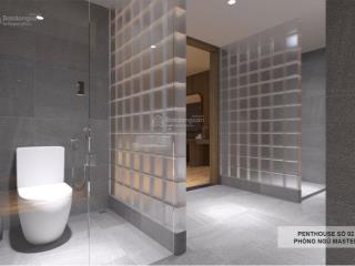 Căn hộ pentstudio 2 tầng  không gian sống lý tưởng giữa lòng thành phố