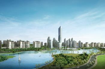 Cho thuê biệt thự splendora 270m2, full đồ đẹp xịn, giá 30 triệu, sân vườn đẹp, có cá bể cá koi