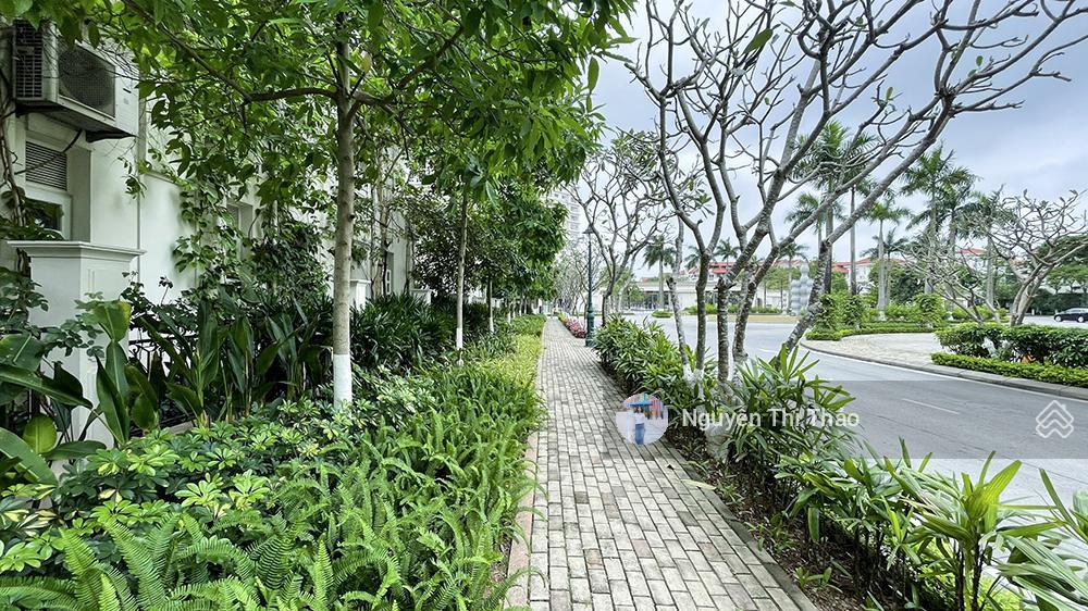 Bán biệt thự bt1 splendora 270m2, sổ đỏ, nhà hoàn thiện, đơn giá tốt khu, 5x tỷ