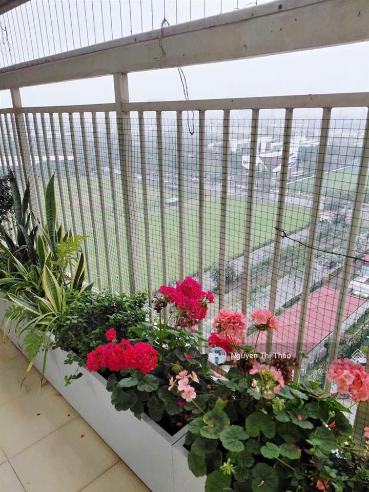 Bán chung cư splendora 109m2 2n2vs, tầng cao view thoáng, sổ đỏ, 6,x tỷ