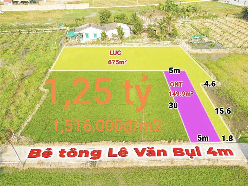 Bán lô đất thổ lúa làm nhà vườn xã Vàm Cỏ gần Quốc Lộ 50B giá 1,25 tỷ