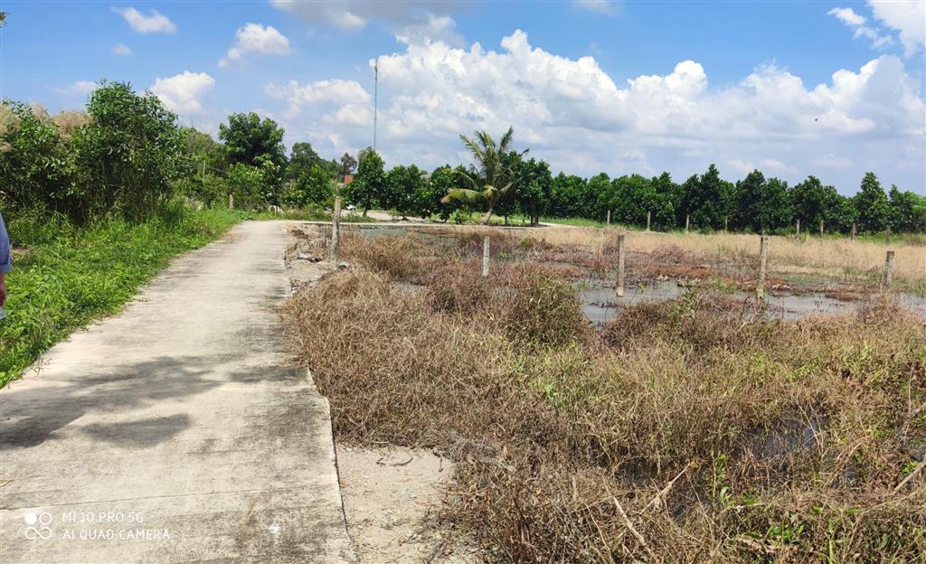 Bán lô đất lúa làm dự án dân cư giá 6,5 tỷ