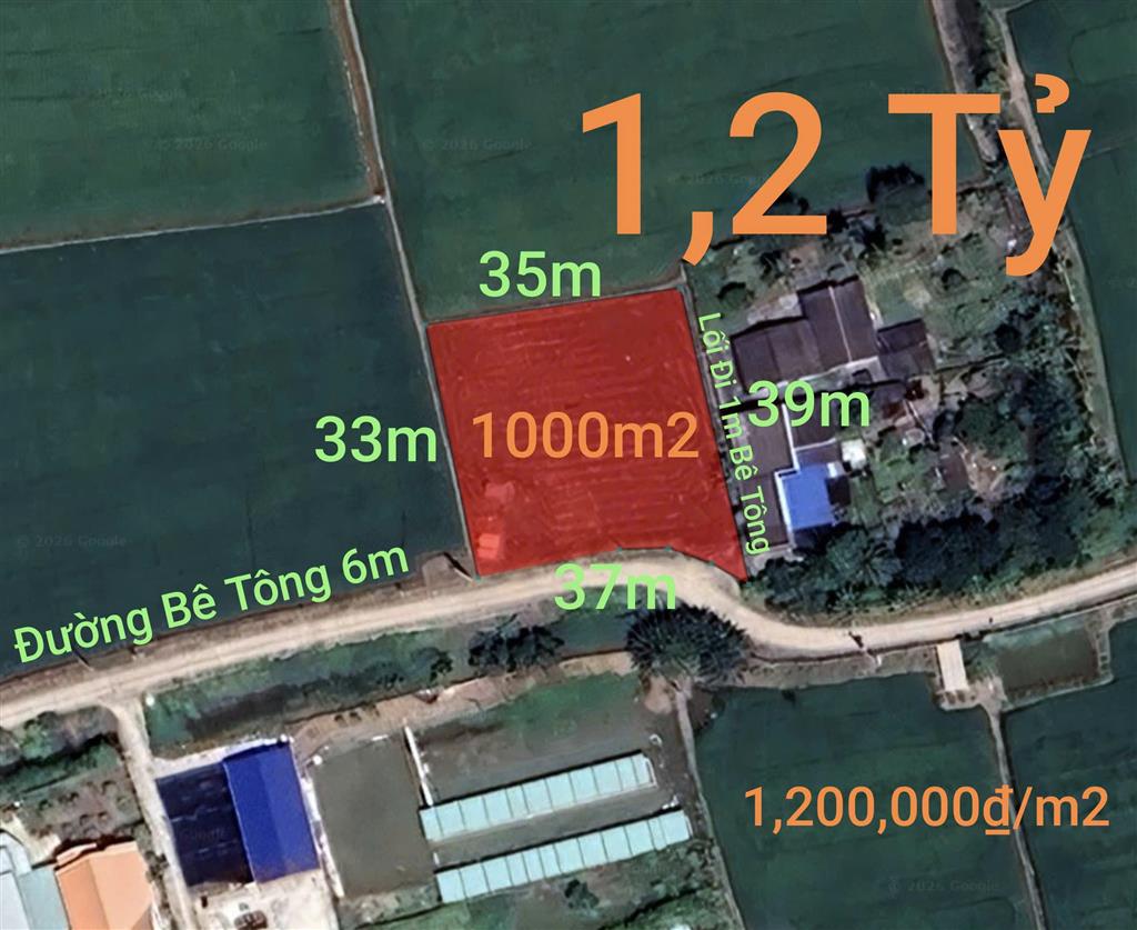 Bán lô đất lúa chuyển thổ đường bê tông 6m giá 1,2tỷ