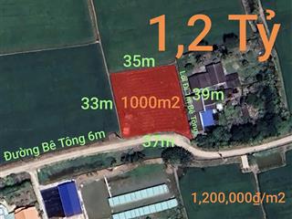 Bán lô đất lúa chuyển thổ đường bê tông 6m giá 1,2tỷ