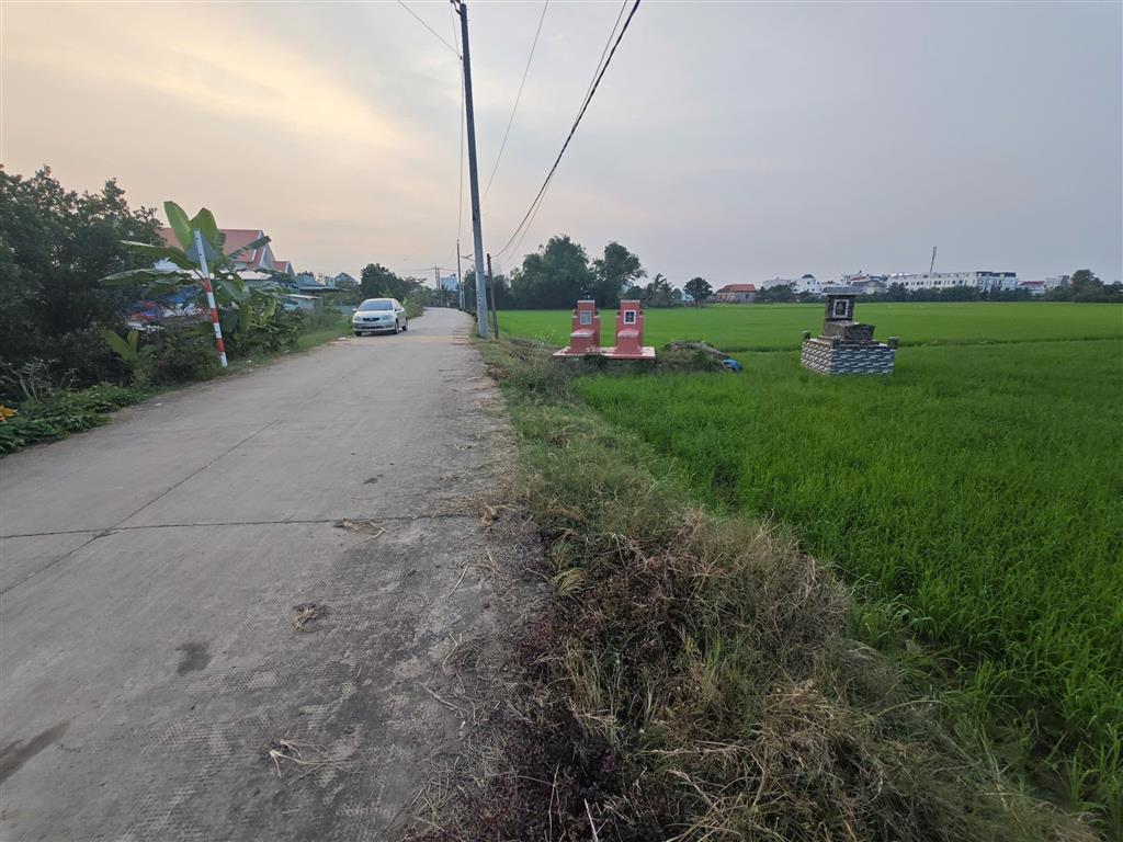 Bán lô đất lúa chuyển thổ đường bê tông 6m giá 1,2tỷ