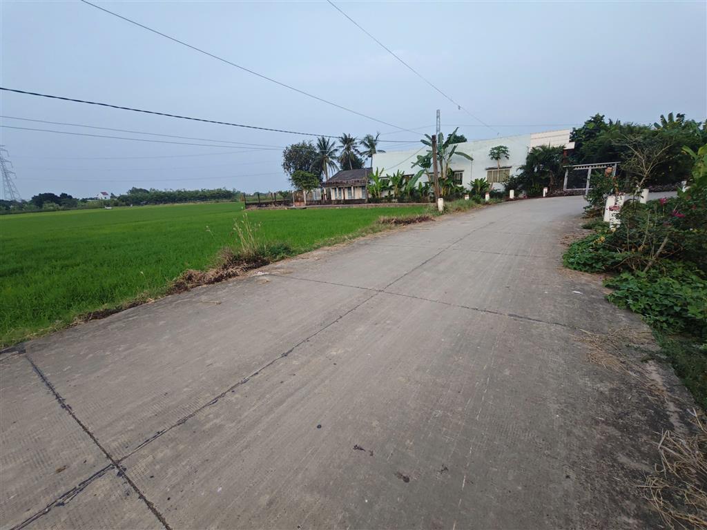 Bán lô đất lúa chuyển thổ đường bê tông 6m giá 1,2tỷ