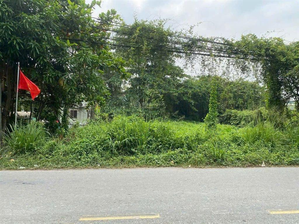 Chỉ 13,2 tỉ có ngay gần 1000m shr thổ cư ngang 20 m x50 mt đường nhựa thanh niên tân vĩnh lộc tphcm