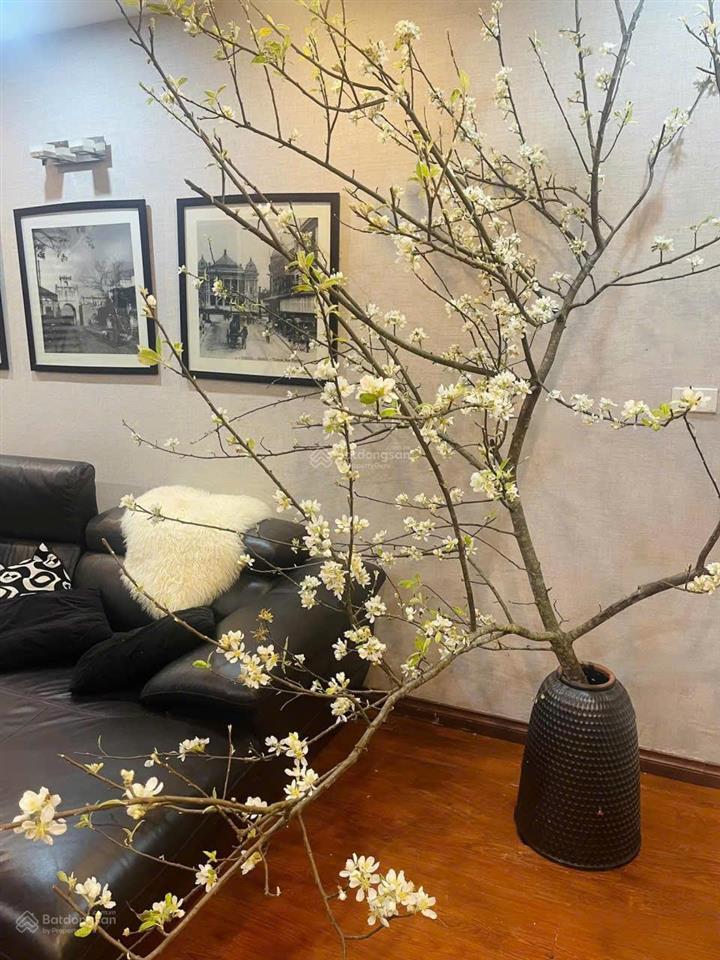 Bán nhà quận hoàn kiếm phố cổ trong biệt thự pháp xây lô góc oto đỗ cửa diện tích đẹp giá nhẹ