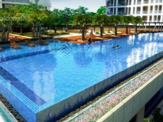 Bán nhanh căn hộ cc harmona trương công định, tân bình. dt 75m2, 2pn, 3.6 tỷ, sổ  0902 666 ***