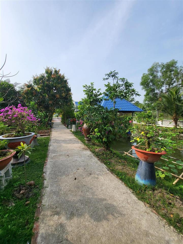 Cần bán nhà biệt thự 2300m2, có 200 m2 đất ở, nhà thủy tạ, ao cá, vườn cây ăn trái đang thu hoạch