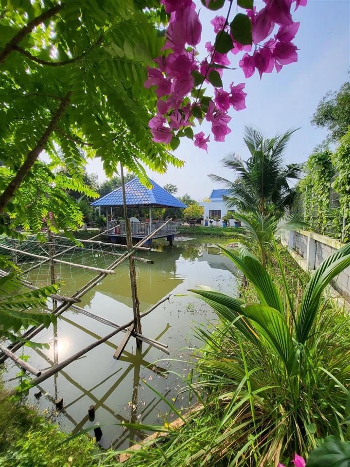 Cần bán nhà biệt thự 2300m2, có 200 m2 đất ở, nhà thủy tạ, ao cá, vườn cây ăn trái đang thu hoạch