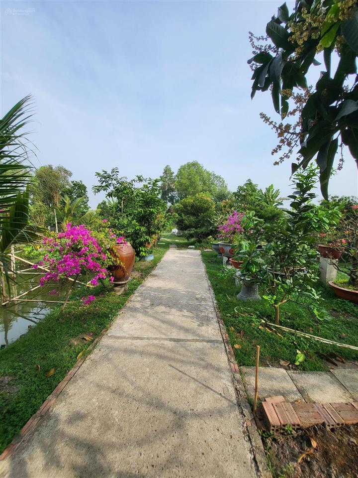 Cần bán nhà biệt thự 2300m2, có 200 m2 đất ở, nhà thủy tạ, ao cá, vườn cây ăn trái đang thu hoạch