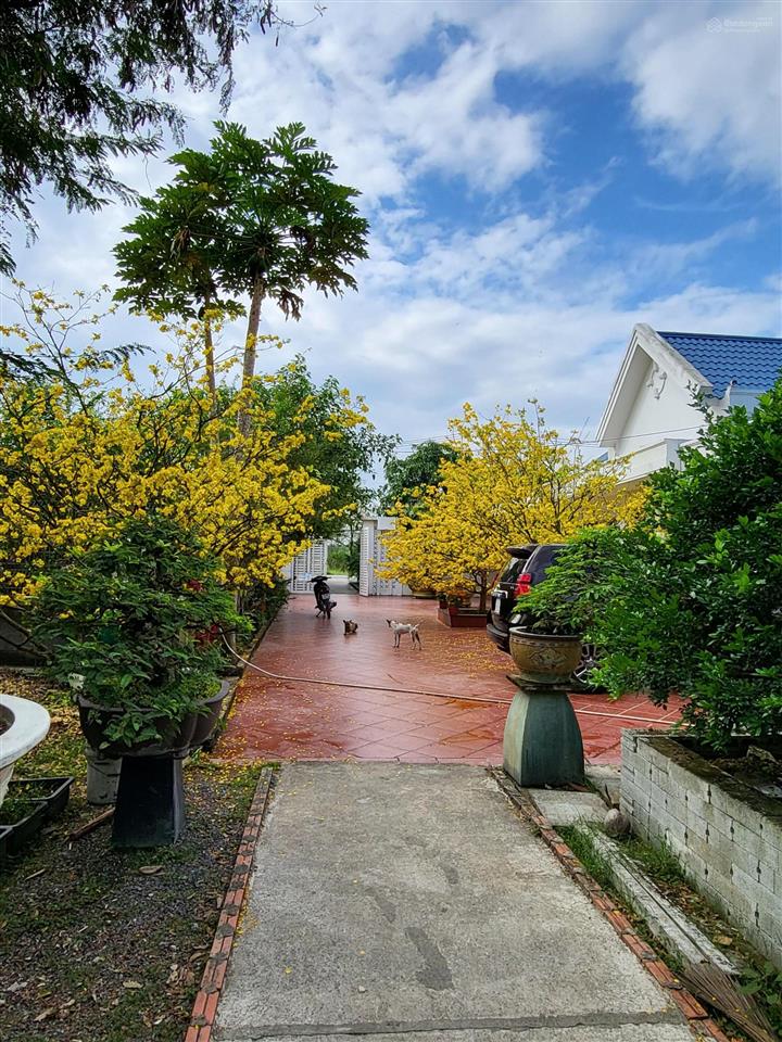 Cần bán nhà biệt thự 2300m2, có 200 m2 đất ở, nhà thủy tạ, ao cá, vườn cây ăn trái đang thu hoạch