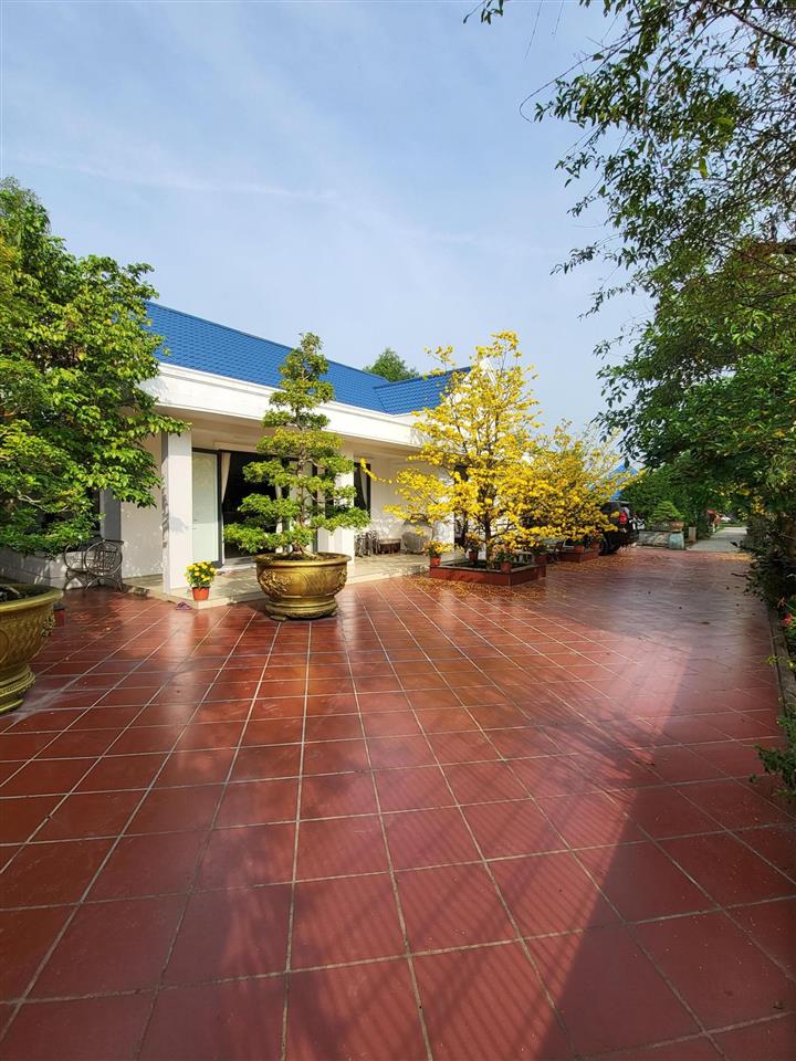 Cần bán nhà biệt thự 2300m2, có 200 m2 đất ở, nhà thủy tạ, ao cá, vườn cây ăn trái đang thu hoạch