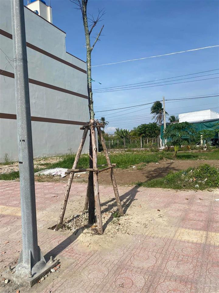 Thu mua đất đầu tư  nhà ở tiềm năng