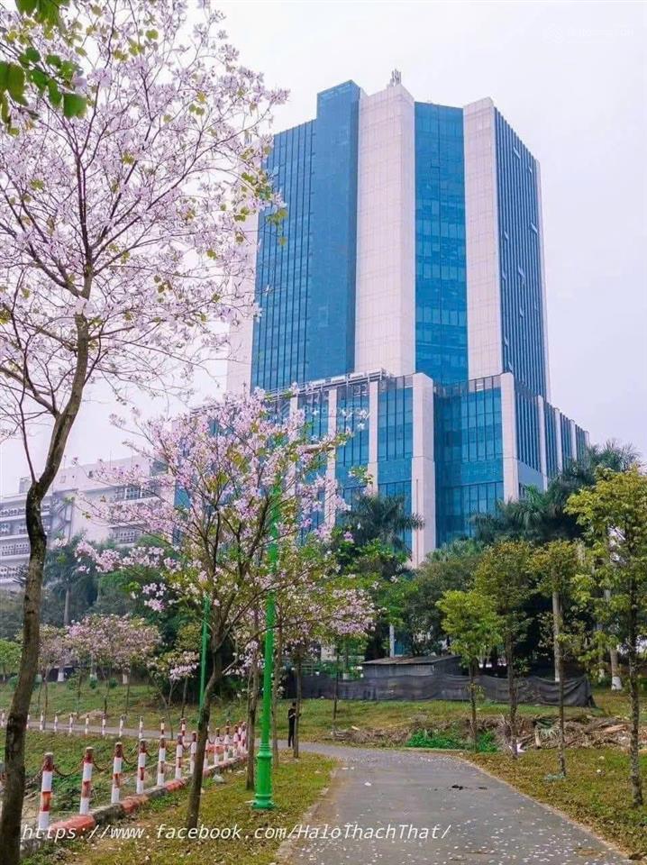 Bán đất cắt lỗ 500tr tại tân xã  hòa lạc 100m2 3.2 tỷ  0984 476 ***