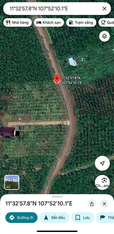 Mặt tiền siêu khủng 105m, 5.000m² đất lộc nga  gần ql20  vườn cà phê năng suất