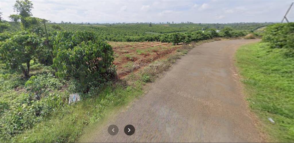 Mặt tiền siêu khủng 105m, 5.000m² đất lộc nga  gần ql20  vườn cà phê năng suất