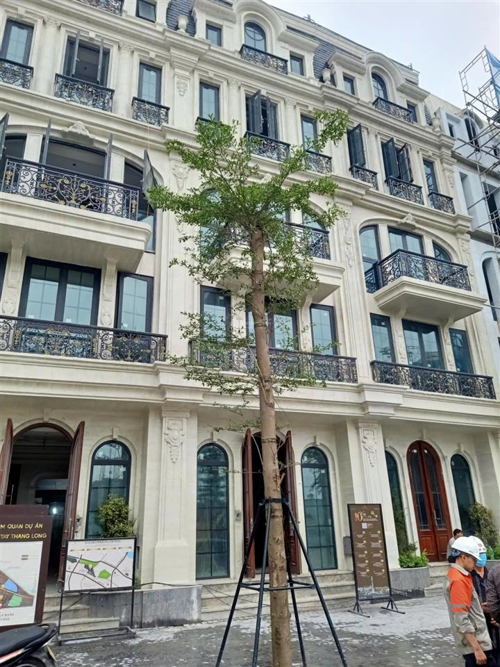 Shophouse 5 tầng, dt 77,5m2, đường lớn, gần trường học, bệnh viện, rất tốt kinh doanh và ở