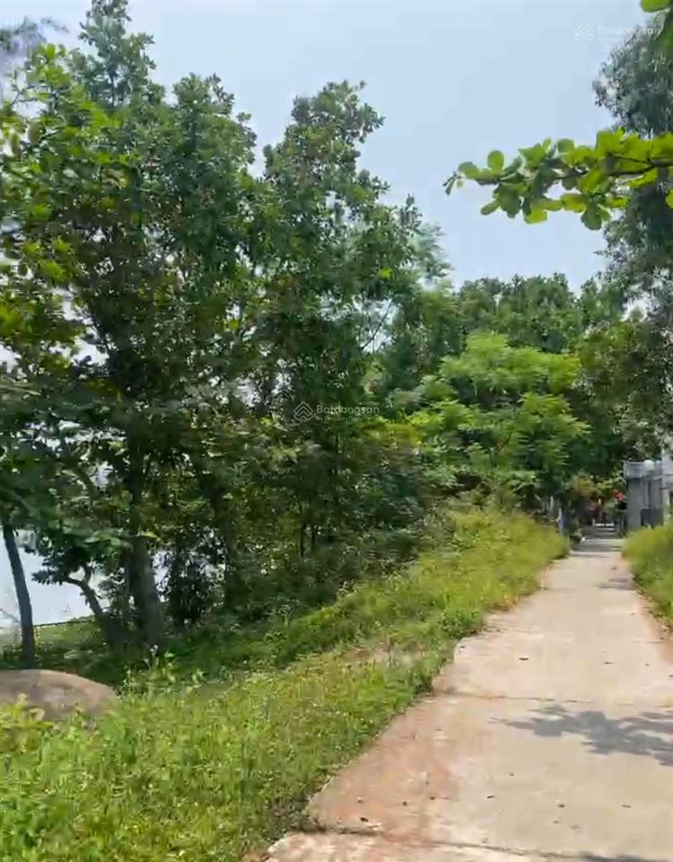 Lô đất view trực diện sông nam đà nẵng không gian cực đẹp!