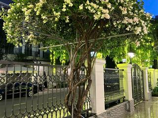 Cho thuê biệt thự đơn lập, full đồ  đảo ngọc trai, phân khu đóng, vip nhất dự án