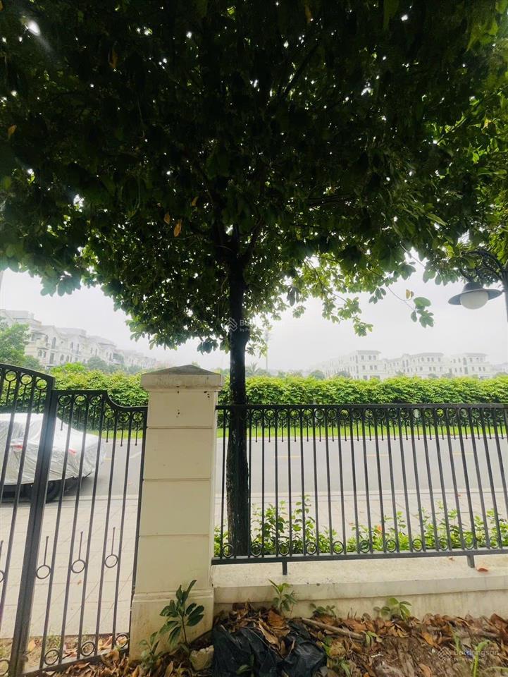 Giảm sâu còn 26 tỷ  biệt thự sao biển, gần góc  gần biển hồ ngọc trai 24,5ha