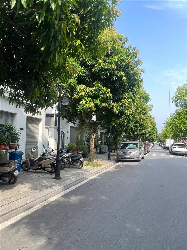 Cho thuê shophouse sao biển 5 tầng, có thang máy. giá 20 triệu/tháng