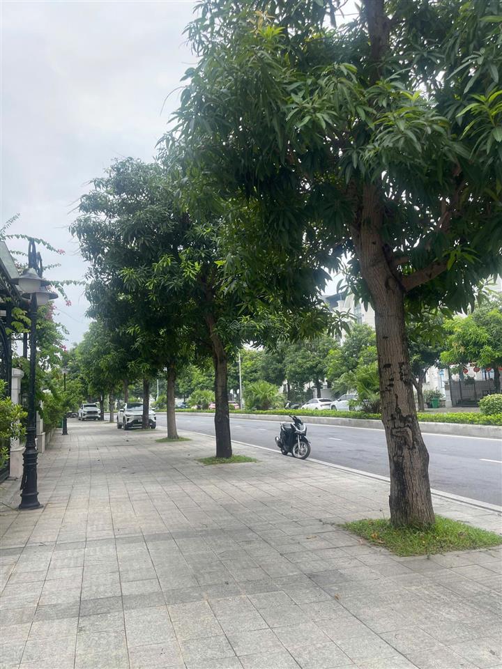 Mua 39 tỷ  giờ bán 28,5 tỷ căn biệt thự đẹp phân khu hải âu 02