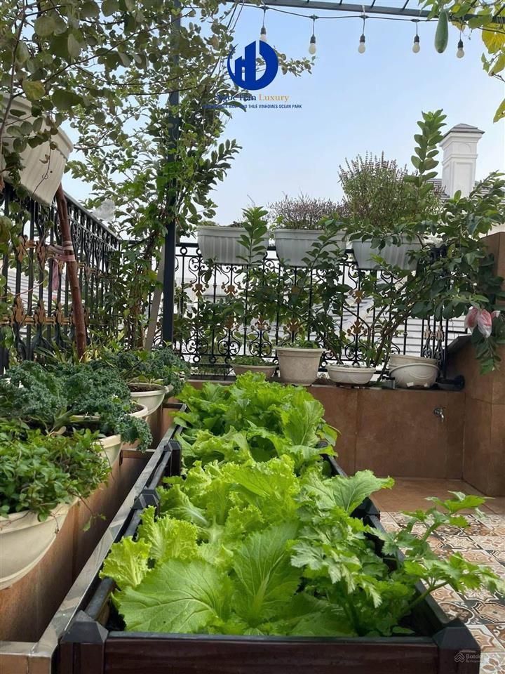 Giá 150 triệu/ tháng. cho thuê căn đơn lập góc  full nội thất cao cấp  đảo ngọc trai