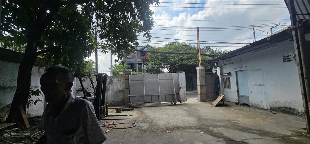 Cho thuê nhà xưởng đường nguyễn thị thử, hóc môn 800m² xe container ra vào 24/24.