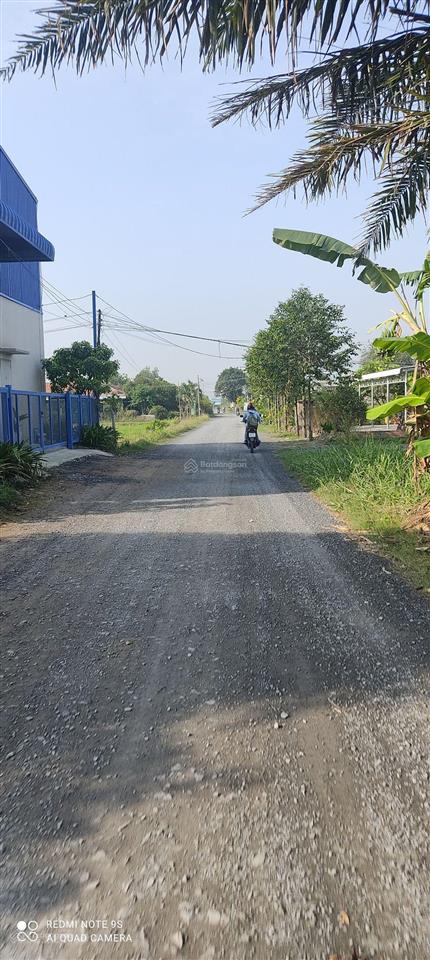 Bán đất đầu tư sát vành đai 4, 5x25, giá ngộp 620tr, 1 sẹc bê tông liên xã hòa khánh,  0704 794 ***